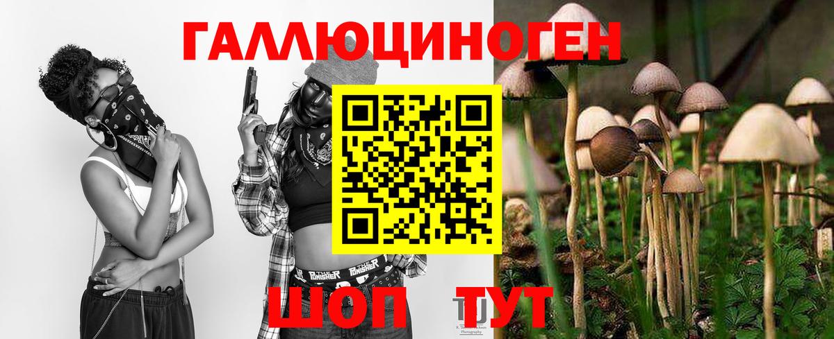 Галлюциногенные грибы ЛСД  Вход с VPN  Кингисепп 